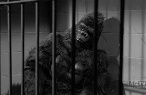 The Case of Grinning Gorilla Perry Mason Doc