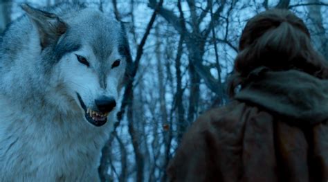 The Case of the Missing Direwolf