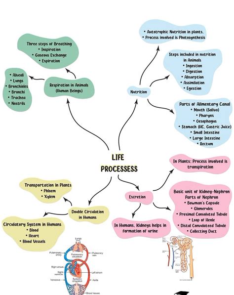 The Chart of Life .. PDF