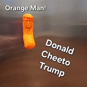 The Cheeto Orange Man: A Comprehensive Examination of Donald Trump's Presidency