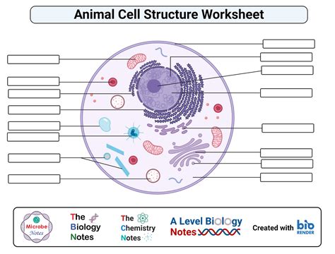 The Chemistry Of Cells Worksheet Answers Kindle Editon