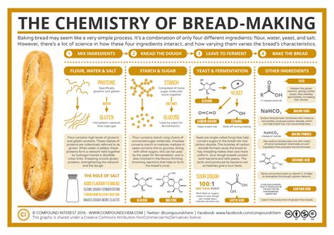 The Chemistry of Bread Making Doc