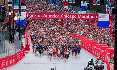 The Chicago Marathon PDF