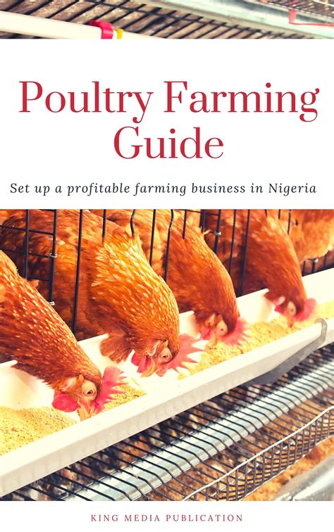 The Chicken 777: A Comprehensive Guide to a Profitable Poultry Enterprise