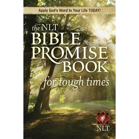 The Christian Man s Promise Book Kindle Editon