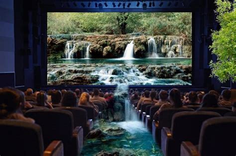 The Cinema Experience of the Future