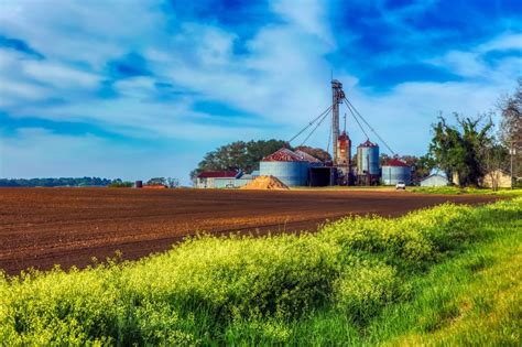 The Coastal Plain: Georgia's Agricultural Powerhouse