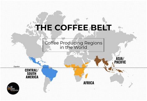 The Coffee Belt