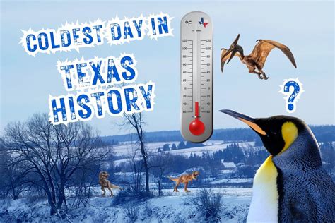 The Coldest Day in Texas Reader