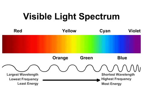 The Color of Light Reader