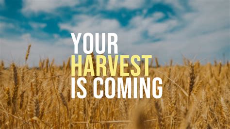 The Coming Harvest... Doc