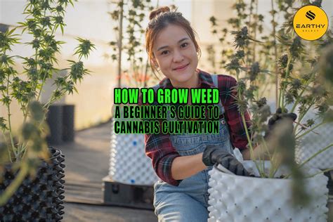 The Complete Guide to Becoming a Weedprincess: A Comprehensive Guide to Cannabis Cultivation