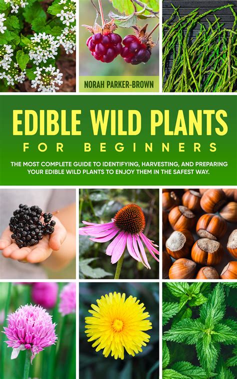 The Complete Guide to Edible Wild Plants PDF