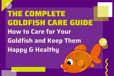 The Complete Guide to Goldfish Care: Keeping Your Aquatic Companions Healthy and Happy in a Tank