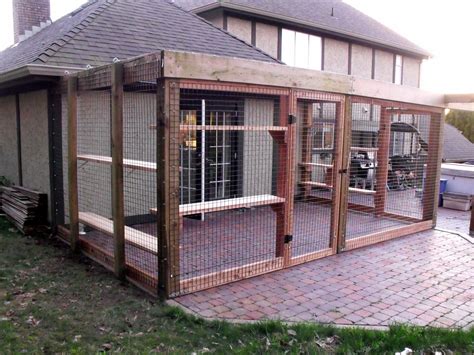 The Complete Guide to Patio Cat Enclosures: A Safe and Stimulating Outdoor Space for Your Feline Friend