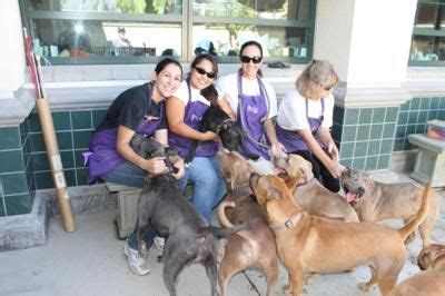 The Complete Guide to the Rancho Cucamonga Pet Shelter: A Haven for Animals in Need