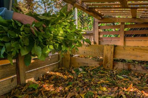 The Compost Craze: Machine-Made Compost for Sustainable Gardening