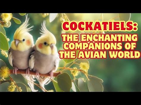 The Comprehensive Guide to Avescorts: Uncovering the Enchanting World of Avian Companions