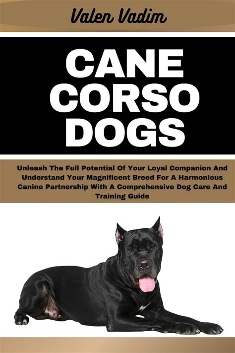 The Comprehensive Guide to Cane Corso Training: Unleashing the Power and Discipline of Your Canine Companion