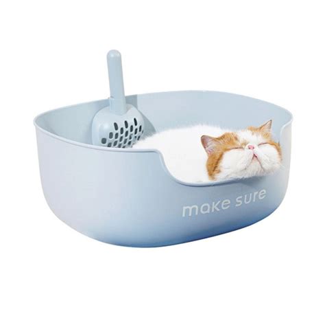 The Comprehensive Guide to Cat Litterbox Care and Management