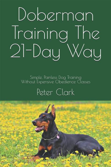 The Comprehensive Guide to Cora Doberman Studio: Transforming Your Training Journey