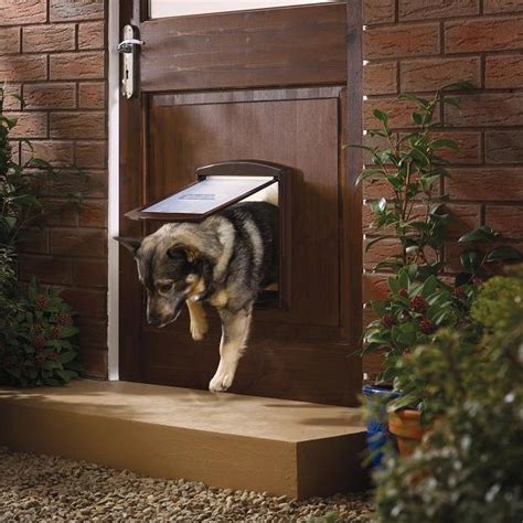 The Comprehensive Guide to Dog Doors: Choosing, Installing, and Maintenance