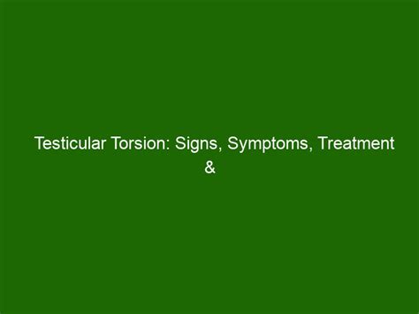 The Comprehensive Guide to Testicular Torsion: Symptoms, Treatment, and Prevention