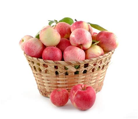 The Comprehensive Guide to Timothy Apples: A Nutritional Powerhouse