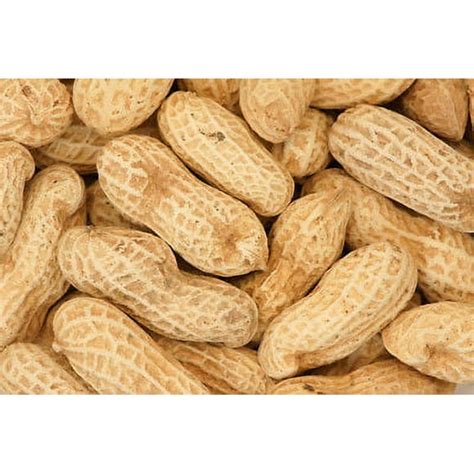 The Comprehensive Guide to Unsalted Peanuts in Shell: Unlocking Nature's Nutritional Power