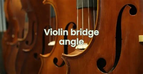 The Comprehensive Guide to Violin Performance from All Angles