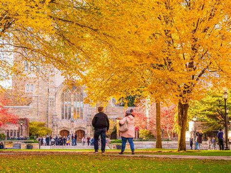 The Comprehensive Guide to the Dartmouth Transfer Application