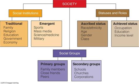 The Concept of Social Structure Kindle Editon