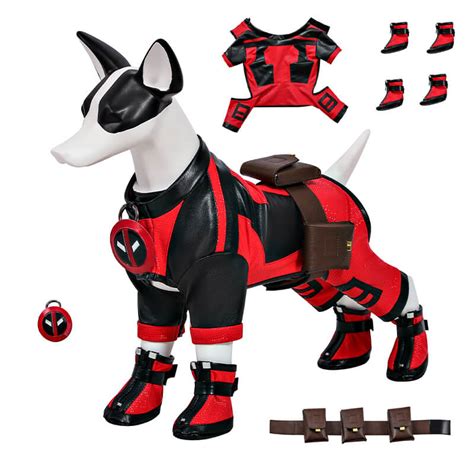 The Concept of the Dogpool Costume