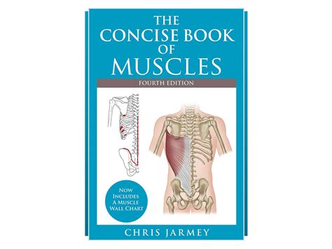 The Concise Book of Muscles Epub