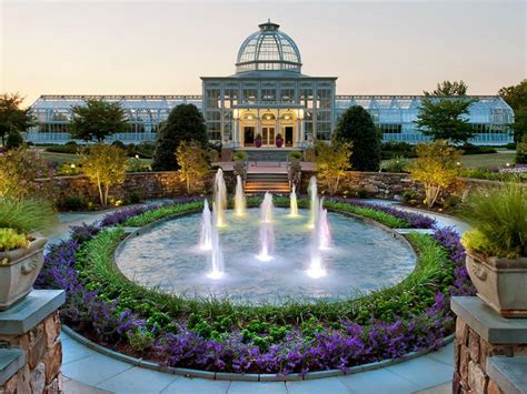 The Conservatory Dallas: A Flourishing Destination for Botanical and Horticultural Enthusiasts