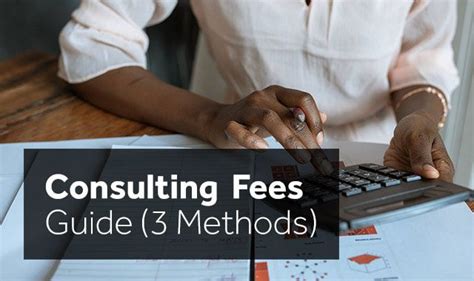 The Contract and Fee-Setting Guide for Consultants and Professionals Doc