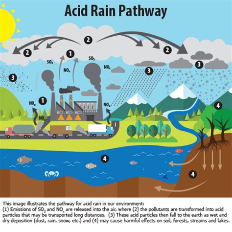 The Corrosive Scourge: Acid Baths and Their Devastating Consequences