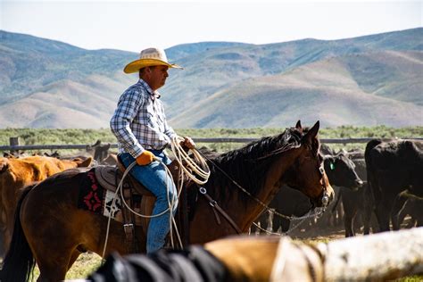 The Cowboy Way: A Guide to Riding, Wrangling, and Living the Cowboy Life