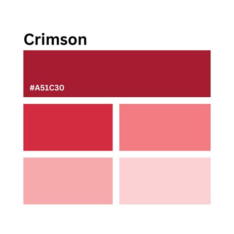 The Crimson Companion: Unveiling the Allure of Harvard University