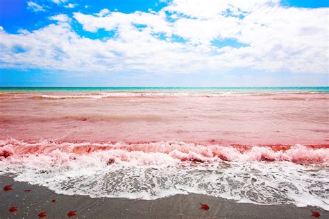 The Crimson Sea: Unveiling the Secrets of the World's Reddest Ocean