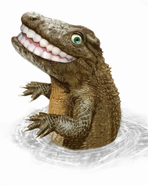 The Crocodile Smile Kindle Editon