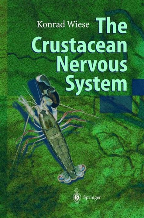 The Crustacean Nervous System 1st Edition Doc