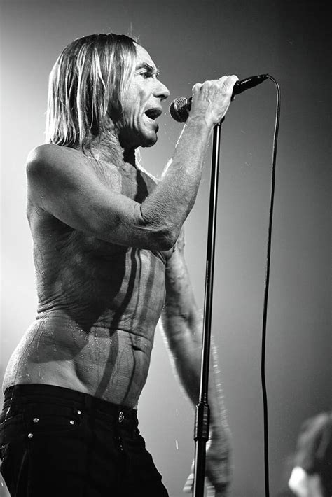 The Cultural Impact of Iggy Pop and The Stooges