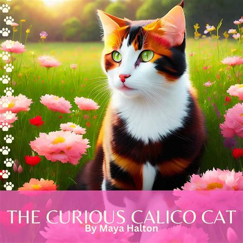 The Curious Calico: