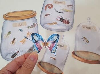 The Curious History of Insect Jars