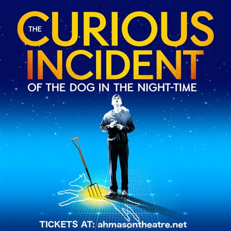 The Curious Incident of the Dog in the Night-Time: A Probing Analysis of the Intriguing Play