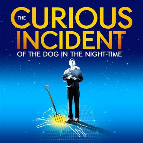 The Curious Incident of the Dog in the Night-Time The Play Modern Plays Reader