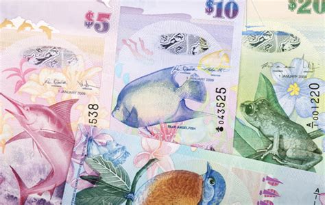 The Currency of Bermuda: A Comprehensive Guide