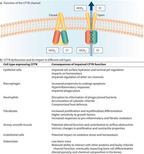 The Cystic Fibrosis Transmembrane Conductance Regulator 1st Edition Kindle Editon