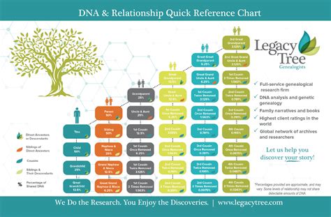 The DNA of Relationships Doc